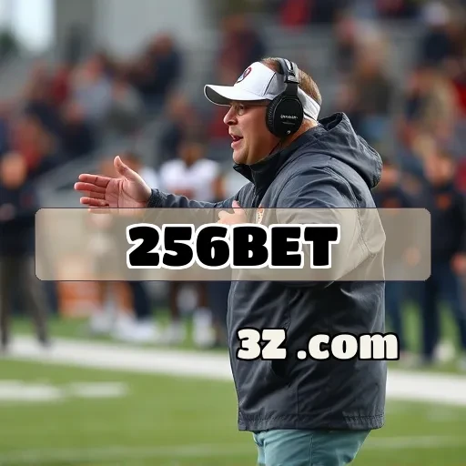 Explorando a Seção FAQ do 256 bet para Apostas Eficientes